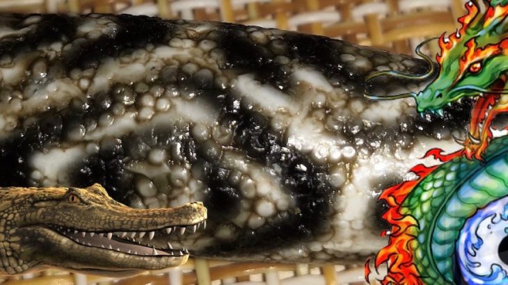 Dzi bead Dragon Eyes - "reptile" series